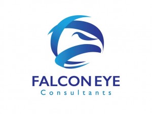Brand Identity & Logo Design – FalconEye Consultants