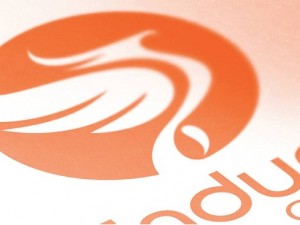 Corporate Brand Identity Design – Endure Capital
