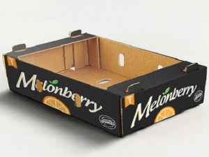 Packaging Design and Logo – Melonberry