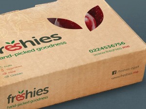 Brand Identity & Packaging Design – Freshies